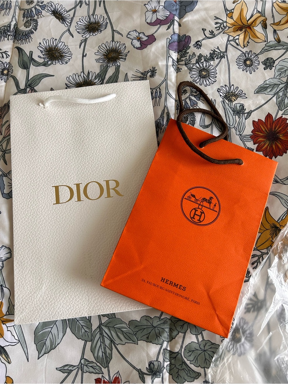 Hermes and Dior Shopping Bag Bundle (2)